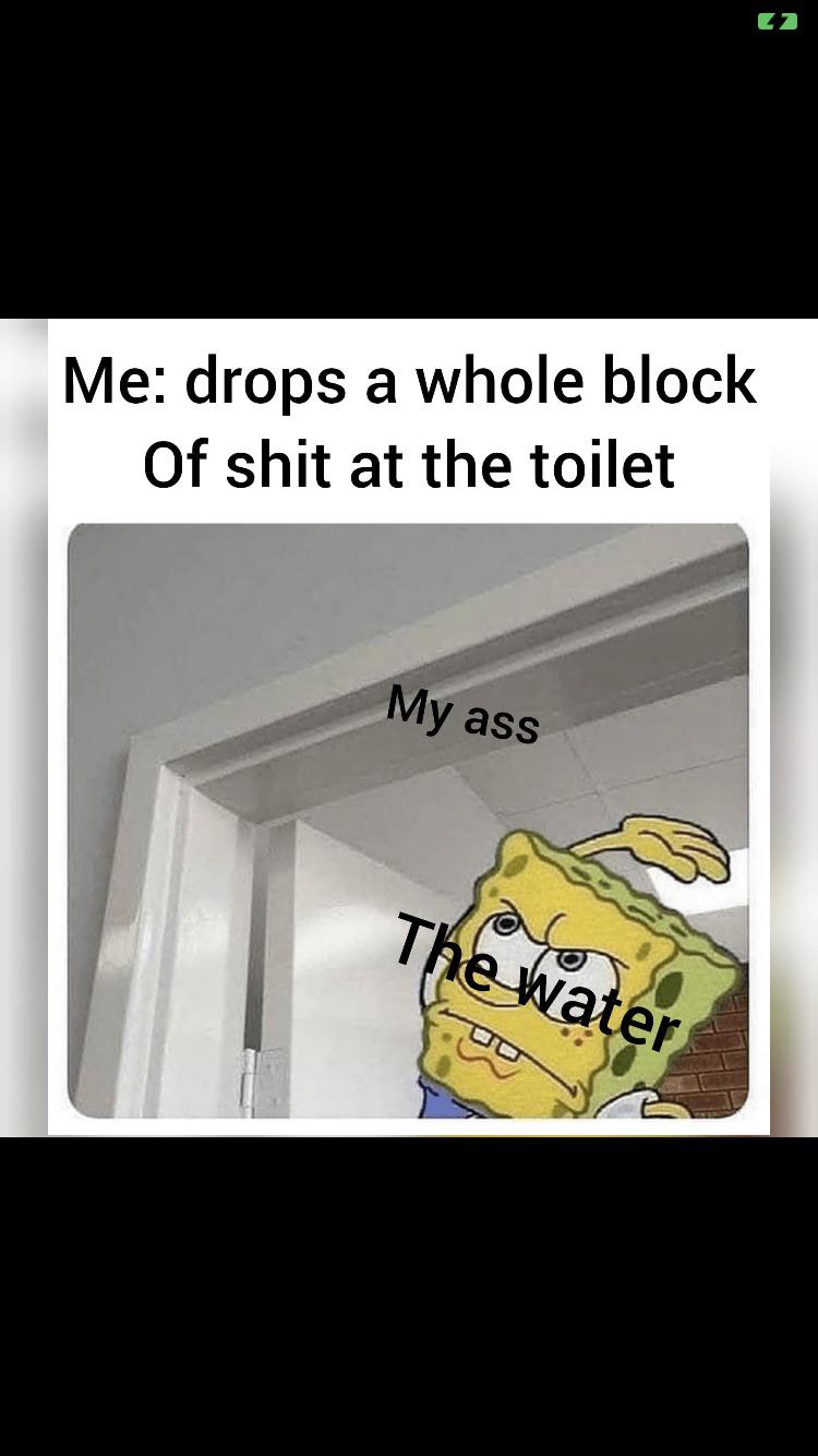 Spongebob,  Spongebob Memes Spongebob,  text: Me: drops a whole block Of shit at the toilet Y ass 