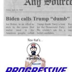 Political Memes Political, Truly text: Anu Sgttrtr Friday. July 10. 2020 Biden calls Trump "dumb" Joe Biden. in an effort to Trump dumb. Truly a hero Rev stick to the issues that for the Democratic Party. foll matter most to the We couldn