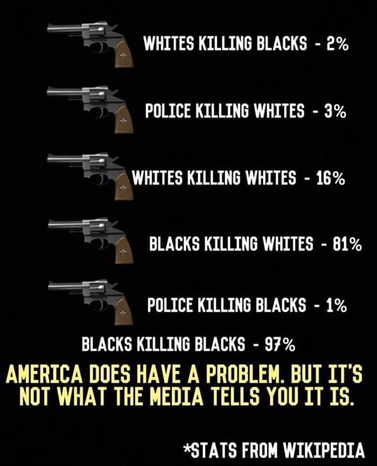 Political,  boomer memes Political,  text: WHITES KILLING BLACKS - 20/0 POLICE KILLING WHITES - WHITES KILLING WHITES - BLACKS KILLING WHITES - POLICE KILLING BLACKS - BLACKS KILLING BLACKS - AMERICA DOES HAVE A PROBLEM. BUT IT's NOT WHAT THE MEDIA TELLS YOU IT IS. *STATS FROM WIKIPEDIA 