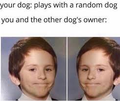 Wholesome memes,  Wholesome Memes Wholesome memes,  text: your dog: plays with a random dog you and the other dog's owner: 