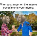 Wholesome Memes Wholesome memes,  text: When a stranger on the internet compliments your meme: frens  Wholesome memes, 