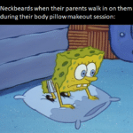 Spongebob Memes Spongebob, Suds, SpongeBob, Making text: Neckbeards when their parents walk in on them during their body pillow makeout session:  Spongebob, Suds, SpongeBob, Making