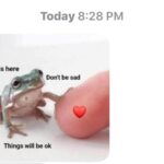 Wholesome Memes Wholesome memes, Frog  Jul 2020 Wholesome memes, Frog