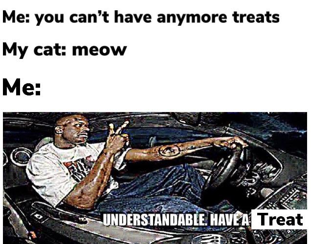 Wholesome memes,  Wholesome Memes Wholesome memes,  text: Me: you can't have anymore treats My cat: meow Treat NDERSTANDABLE. 
