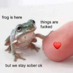 Wholesome Memes Wholesome memes, Toady, Thanks, Deal text: frog is here things are fucked but we stay sober ok  Wholesome memes, Toady, Thanks, Deal