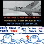 History Memes History, Attridge, Grumman, Tom Attridge, September, Tiger text: IN 1953 DUE TO HIGH SPEED THE F-11 FIGHTER SHOT ITSELF BECAUSE IT WAS FASTER THAN IT