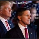 boomer memes Political, Trump, Flynn, FBI, Epstein text: reaåyee— set me oose Sir..  Political, Trump, Flynn, FBI, Epstein