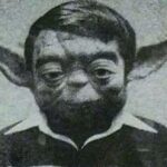 History Memes History, Yodas Headshot, The Empire Strikes Back text:  History, Yodas Headshot, The Empire Strikes Back