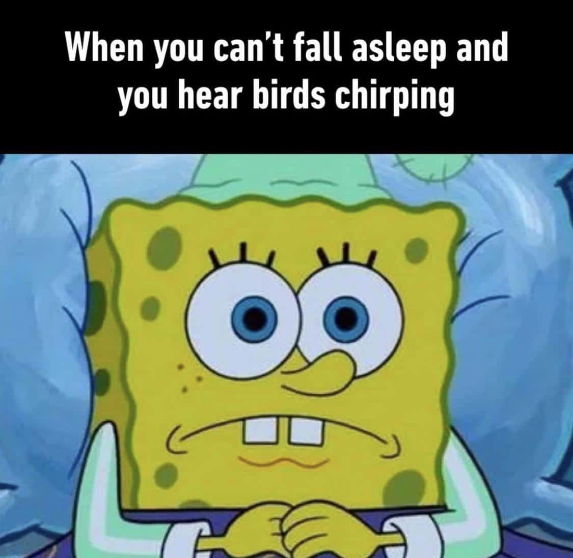 Spongebob,  Spongebob Memes Spongebob,  text: When you can't fall asleep and you hear birds chirping 