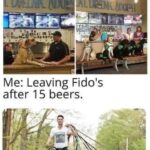 Wholesome Memes Wholesome memes,  text: This Is FidoS, The WorldS First Tap House Where You Can Have A Beer And Meet Foster Dogs Up For Adoption Me: Leaving Fidols after 15 beers.  Wholesome memes, 
