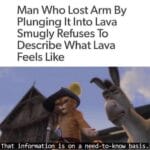other memes Funny, Really, Minecraft, Anakin text: Man Who Lost Arm By Plunging It Into Lava Smugly Refuses To Describe What Lava Feels Like That information is on a need-to-know basis/  Funny, Really, Minecraft, Anakin