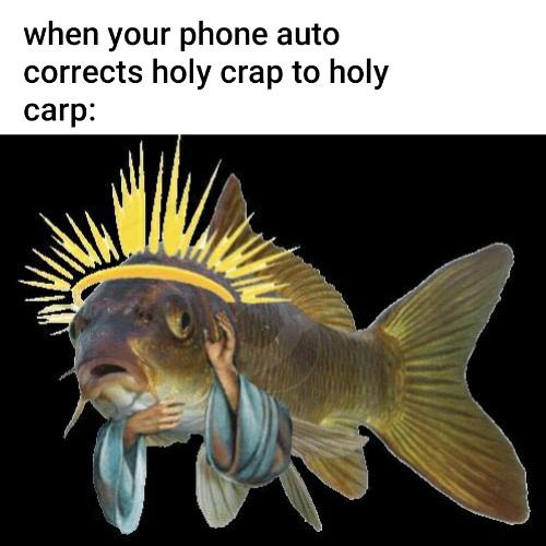 Funny, Holy, Jesus Carp other memes Funny, Holy, Jesus Carp text: when your phone auto corrects holy crap to holy carp: 
