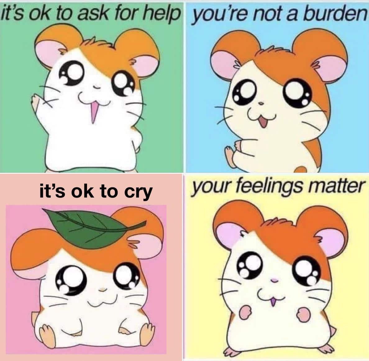 Wholesome memes, Its OK Wholesome Memes Wholesome memes, Its OK text: it's ok to ask for help you're not a burden it's ok to cry your feelings matter 