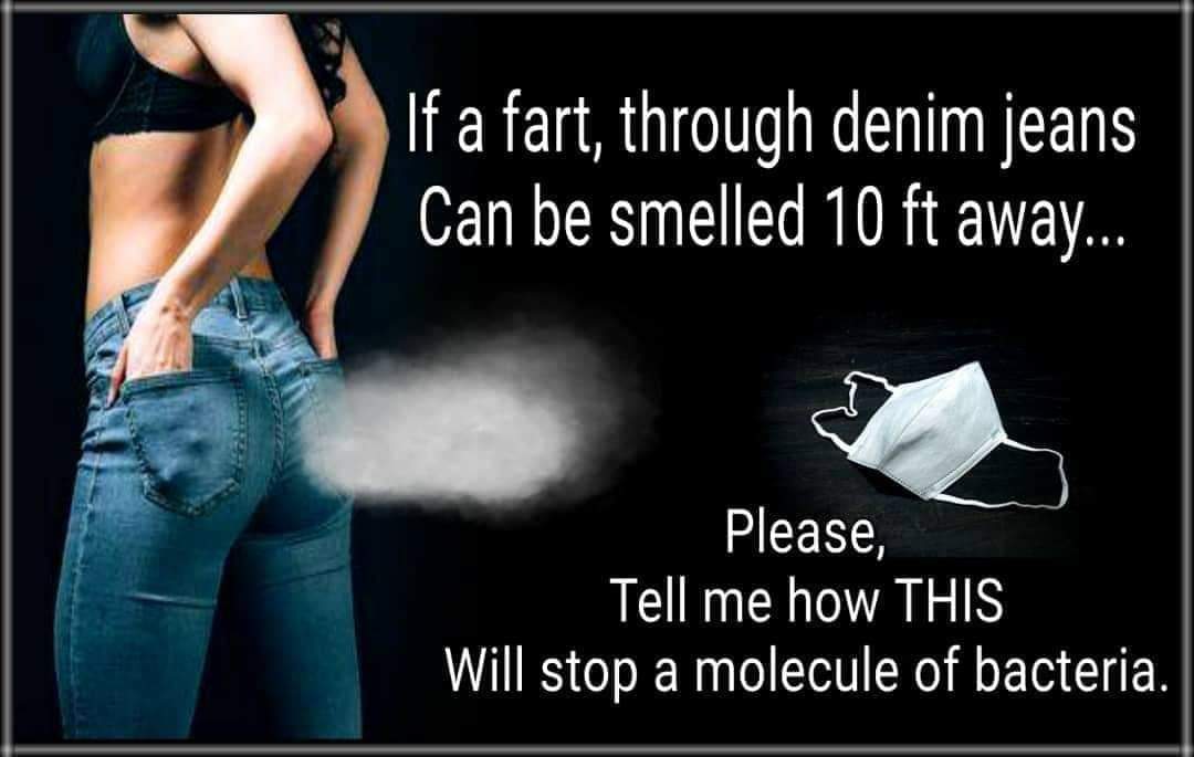 Political,  boomer memes Political,  text: If a fart, through denim jeans Can be smelled 10 ft away... please, Tell me how THIS Will stop a molecule of bacteria. 