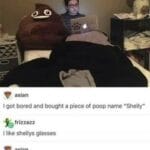 other memes Dank, Thats text: asian I got bored and bought a piece of poop name "Shelly" frizzazz I like shellys glasses asian Stop roasting me it