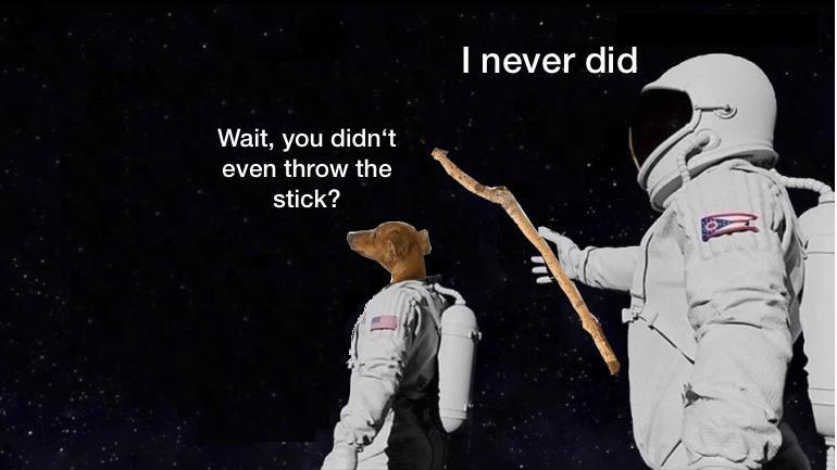 Dank, Wait, Ohio, Earth Dank Memes Dank, Wait, Ohio, Earth text: I never did Wait, you didn't even throw the stick? 