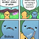 History Memes History, Bolivia, Paraguay, South America, Bolivian, Peru text: TO SURVIVE IN THE WILD, you NEED R RELIABLE SOURCE OF WRTER Bolivia What