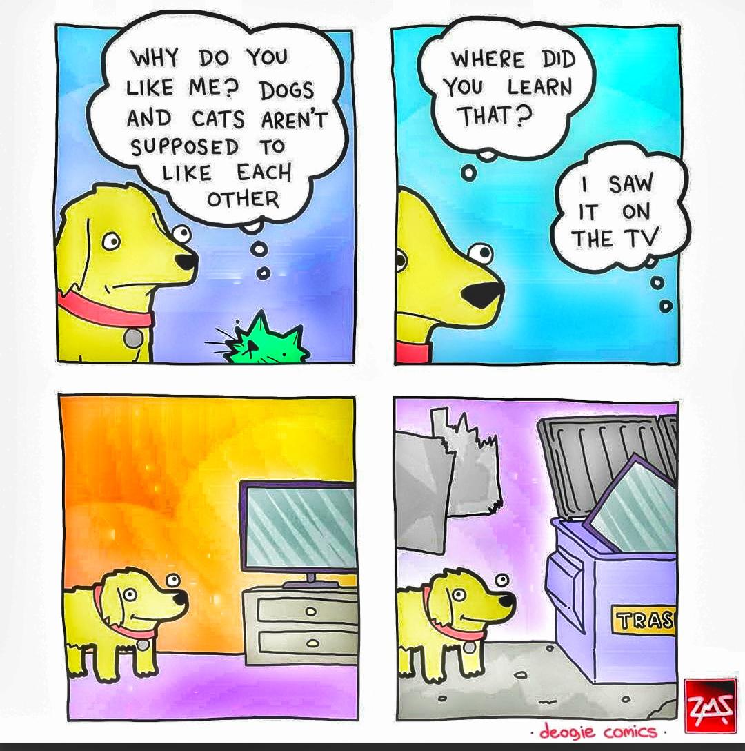 Wholesome memes, Hope Wholesome Memes Wholesome memes, Hope text: VIHY DO You LIKE MEP DOGS ABID CATS AREN'T SUPPoSED TO LIKE EACH OTHER o o WHERE DID You LEARN THAT P o I SAW IT ON TAE TV o o teas • bogie comics • 