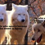 other memes Dank,  text: Me who upvotes écause L e wolf IS cute People who upvote because the meme is funny  Dank, 