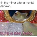 Wholesome Memes Wholesome memes,  text: Me in the mirror after a mental breakdown: you0reia .taw baby  Wholesome memes, 