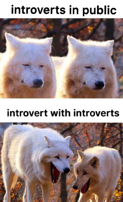 Funny, Redditors, Introverts other memes Funny, Redditors, Introverts text: introverts in public introvert with introverts 
