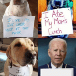 Dog shaming and Biden Political meme template blank  Political, Holding Sign, Dog, Opinion, Joe Biden, Biden, Animal