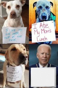 Dog shaming and Biden Holding Sign meme template