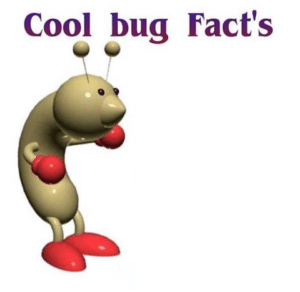Cool bug facts (blank) Truth meme template