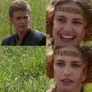 Anakin Disappearing in front of Padme Leaving meme template