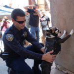 Cop frisking dog Animal meme template blank