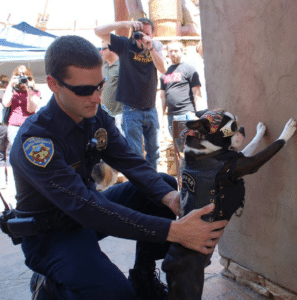 Cop frisking dog Police meme template