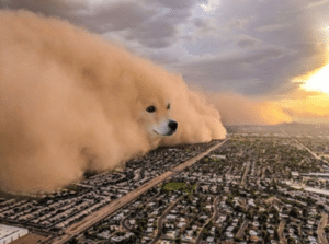 Dog storm Town meme template