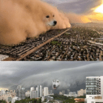 Two dog storms Vs meme template blank
