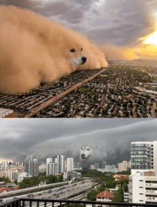 Two dog storms Multiple meme template