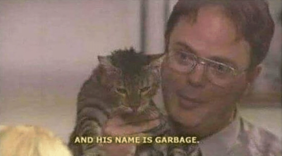 Dwight his name is garbage The Office, Dwight, Cat, Garbage, Trash