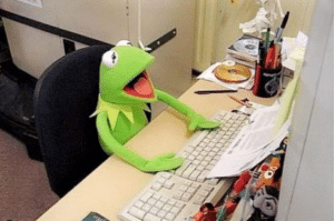 Kermit yelling at computer Frog meme template