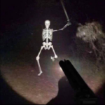Shooting Skeleton with Shotgun Guns meme template blank