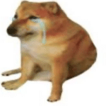 Sad doge Doge meme template blank  Doge, Crying, Sad, Reaction, Depression, Animal, Dog