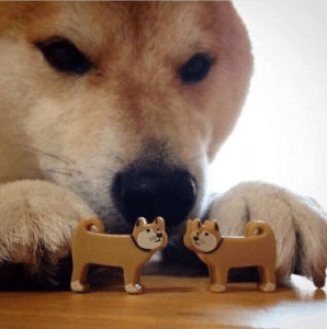 Doge pushing doge toys together Helping meme template