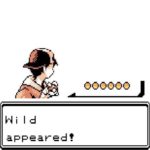 Pokemon a wild (blank) appeared Pokemon meme template blank  Pokemon, Wild, Appearing, Battle, Fighting, Gaming