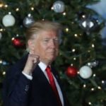 Trump in front of Christmas tree Christmas meme template blank  Christmas, Trump, Political, Tree, Fist