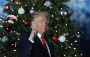 Trump in front of Christmas tree Fist meme template
