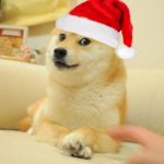 Santa Doge Christmas meme template blank  Christmas, Doge, Santa, Hat, Dog, Animal