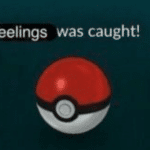 Pokemon “Feelings was caught” Pokemon meme template blank