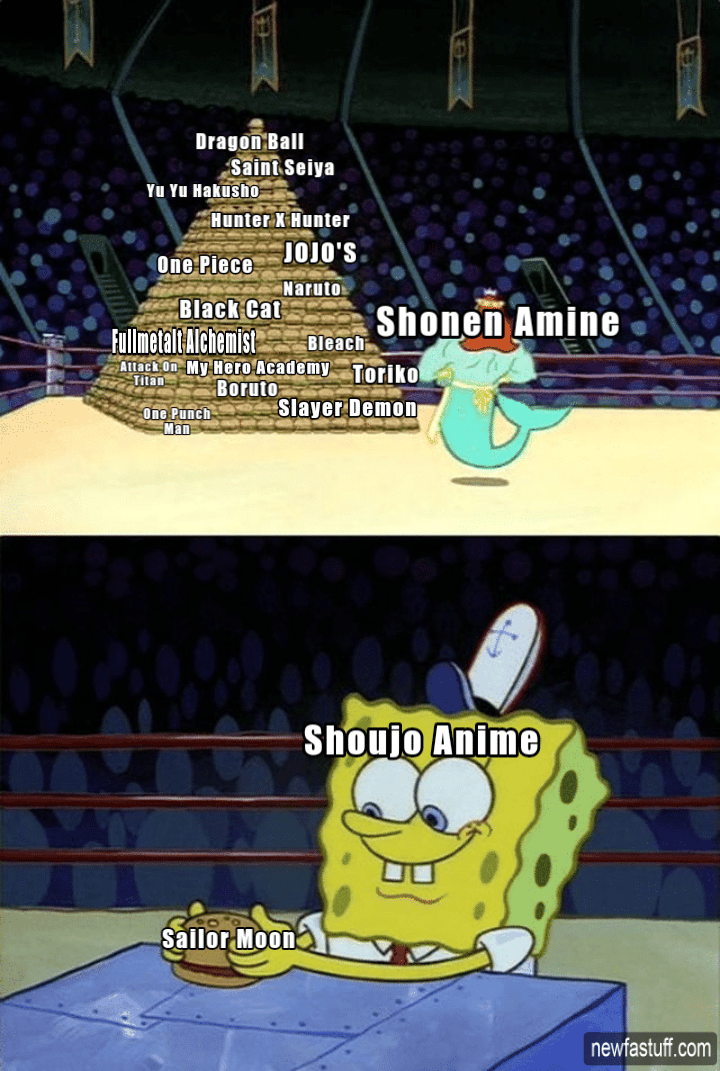 Shoujo Anime VS Shonen Anime Memes Shoujo Anime VS Shonen Anime 
